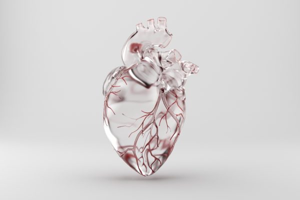 Glas studies - Heart